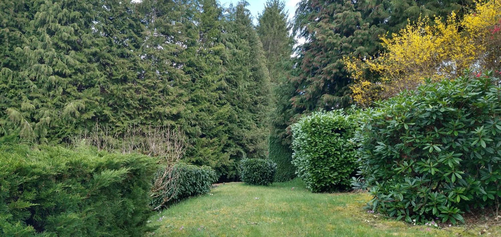 Le Petit Lac Bourganeuf المظهر الخارجي الصورة